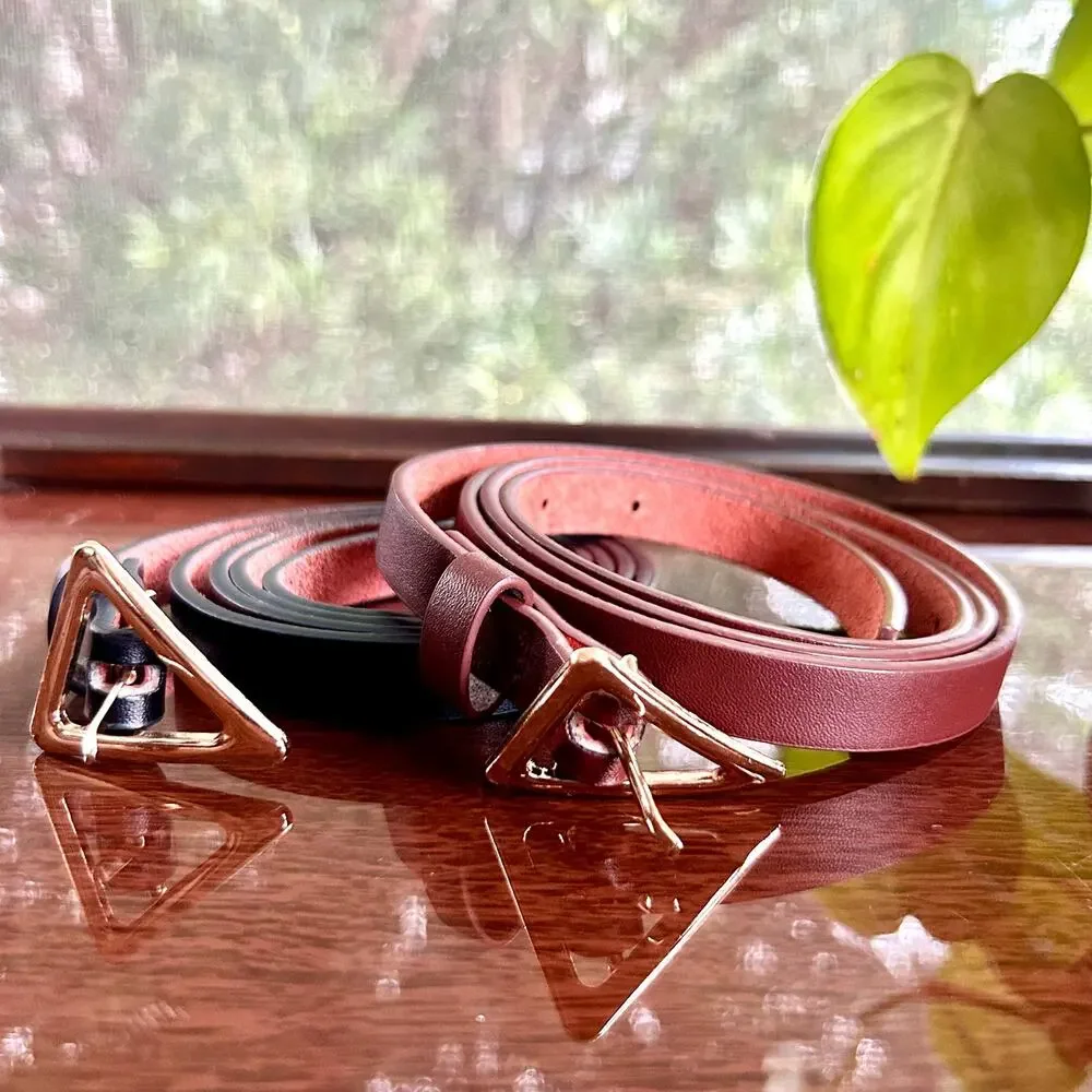 Set of 2 Skinny Belts – Brown & Black with Gold Triangle Buckles – 43” Length